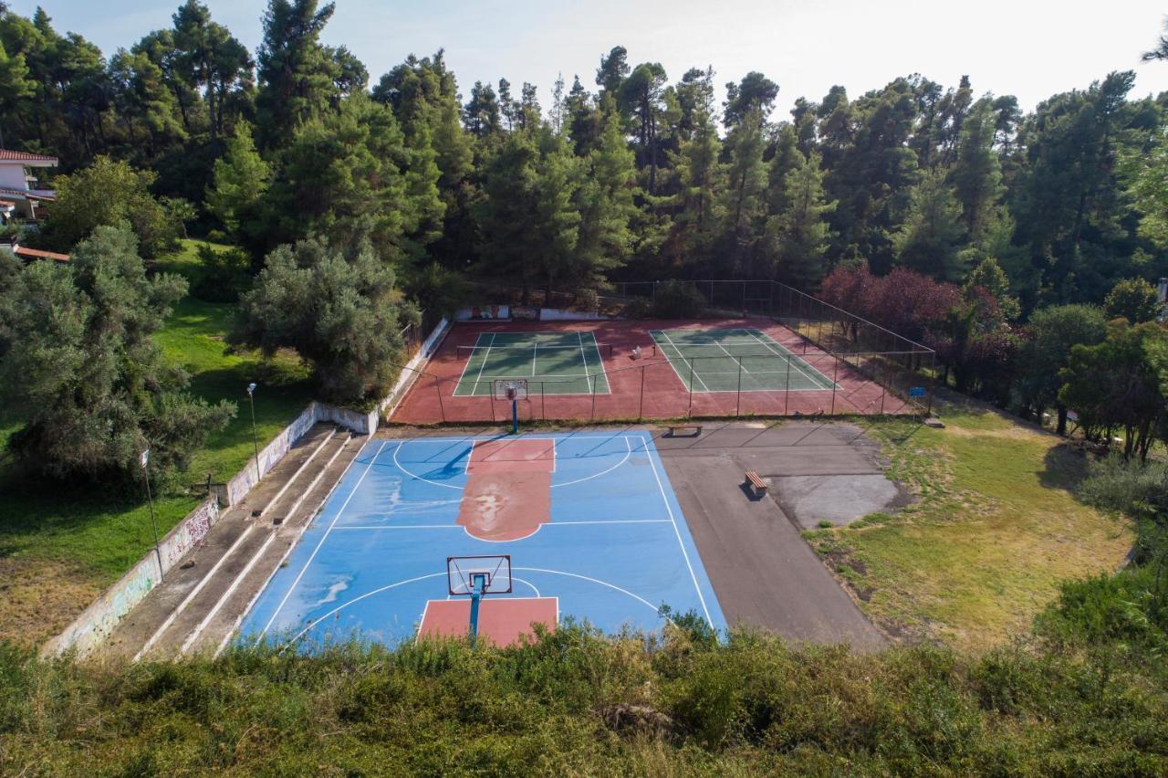Villa Katerina Siviri Bagian luar foto
